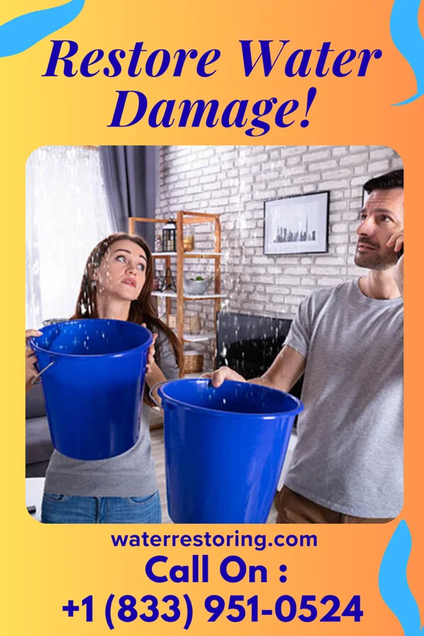 water restoration Expert Property Restoration Professionals Tynan